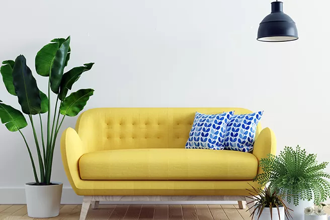 Lai Thị Bảo Trang